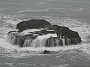 11.2- Le rocher isole couvert de kelp de Pancake rocks